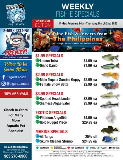 Big Al's (Mississauga) Weekly Specials February 24 to March 2