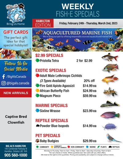 Big Al's (Hamilton) Weekly Specials February 24 to March 2