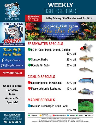 Big Al's (Edmonton) Weekly Specials February 24 to March 2
