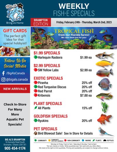 Big Al's (Brampton) Weekly Specials February 24 to March 2