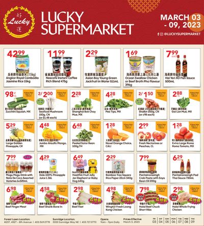 Lucky Supermarket (Calgary) Flyer March 3 to 9