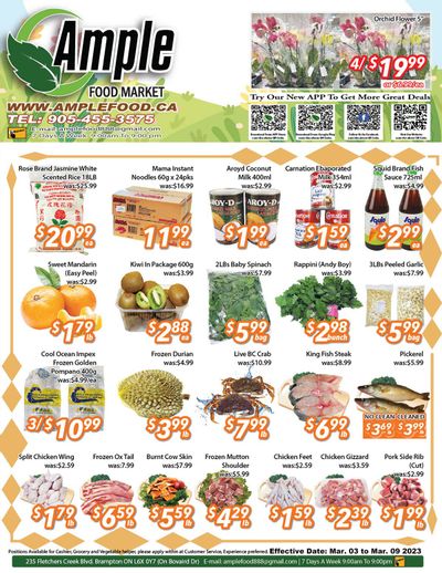 Ample Food Market (Brampton) Flyer March 3 to 9