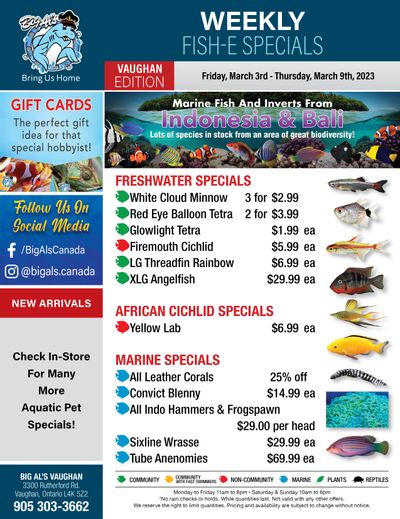 Big Al's (Vaughan) Weekly Specials March 3 to 9