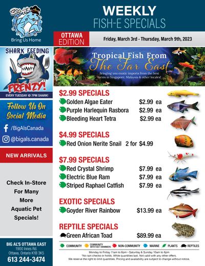 Big Al's (Ottawa East) Weekly Specials March 3 to 9