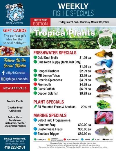 Big Al's (North York) Weekly Specials March 3 to 9