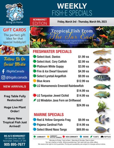Big Al's (Newmarket) Weekly Specials March 3 to 9
