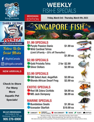 Big Al's (Mississauga) Weekly Specials March 3 to 9