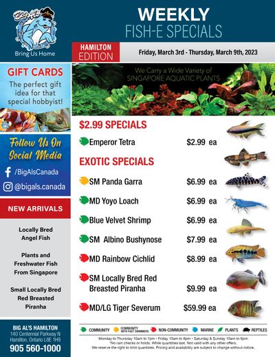 Big Al's (Hamilton) Weekly Specials March 3 to 9