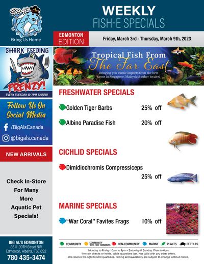 Big Al's (Edmonton) Weekly Specials March 3 to 9