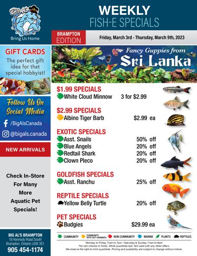 Big Al's (Brampton) Weekly Specials March 3 to 9