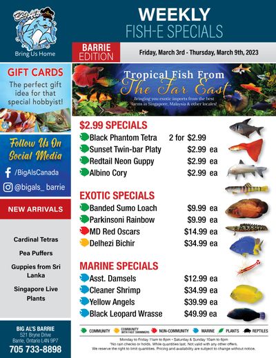 Big Al's (Barrie) Weekly Specials March 3 to 9