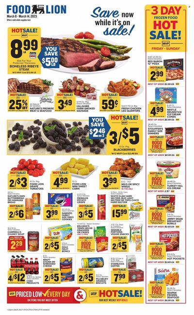 Food Lion (GA) Weekly Ad Flyer Specials March 8 to March 14, 2023