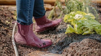 BOGS Boots From Just $23.73 at Bogs Footwear Canada