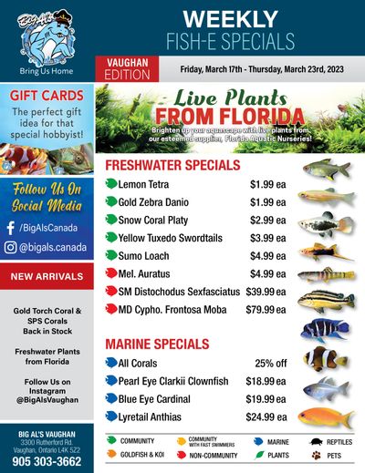 Big Al's (Vaughan) Weekly Specials March 17 to 23 Big Al's (Vaughan) Weekly Specials March 17 to 23