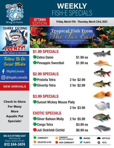 Big Al's (Ottawa East) Weekly Specials March 17 to 23