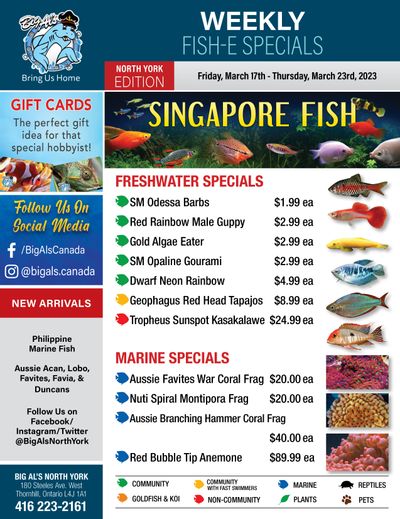 Big Al's (North York) Weekly Specials March 17 to 23