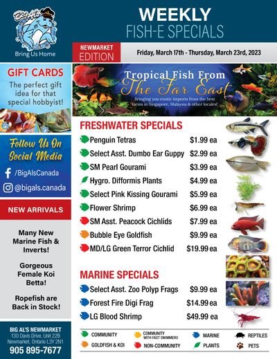 Big Al's (Newmarket) Weekly Specials March 17 to 23