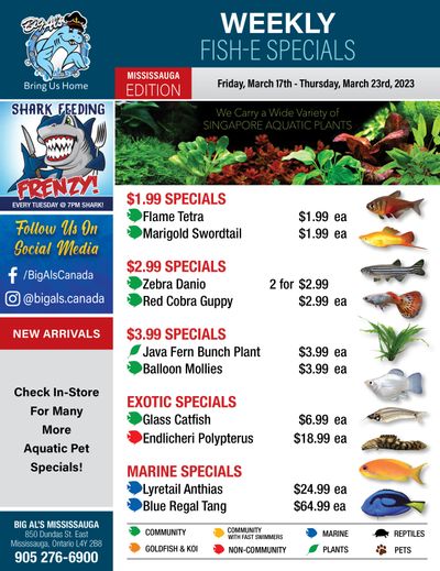 Big Al's (Mississauga) Weekly Specials March 17 to 23