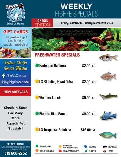 Big Al's (London) Weekend Specials March 17 to 19