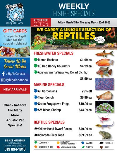 Big Al's (Kitchener) Weekly Specials March 17 to 23