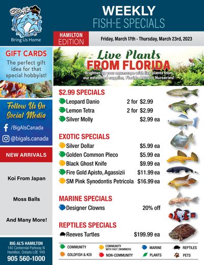 Big Al's (Hamilton) Weekly Specials March 17 to 23