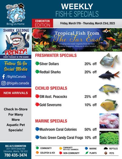 Big Al's (Edmonton) Weekly Specials March 17 to 23