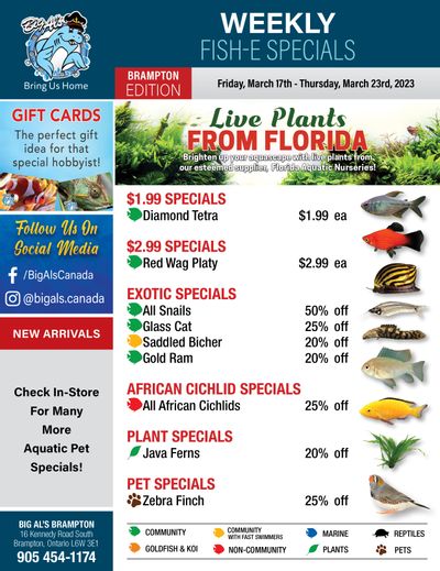 Big Al's (Brampton) Weekly Specials March 17 to 23