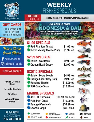 Big Al's (Barrie) Weekly Specials March 17 to 23