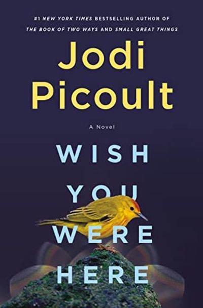 Wish You Were Here: A Novel $21.3 (Reg $36.00)