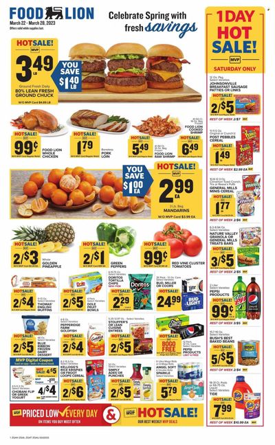 Food Lion (GA) Weekly Ad Flyer Specials March 22 to March 28, 2023