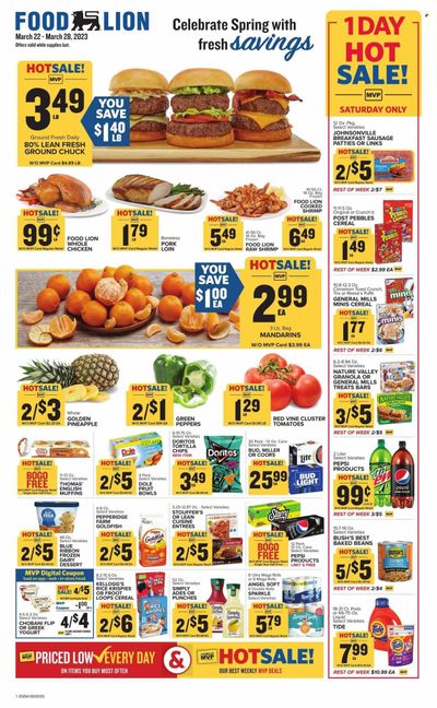 Food Lion (GA) Weekly Ad Flyer Specials March 22 to March 28, 2023