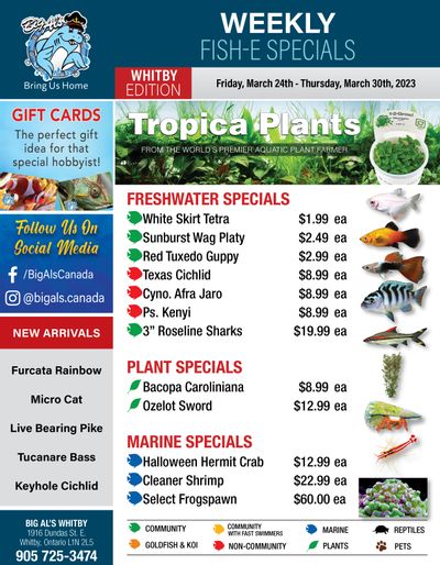 Big Al's (Whitby) Weekly Specials March 24 to 30