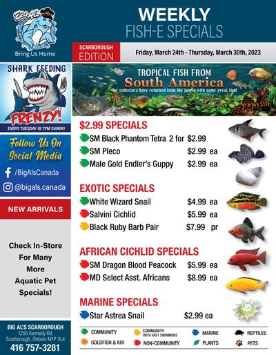 Big Al's (Scarborough) Weekly Specials March 24 to 30