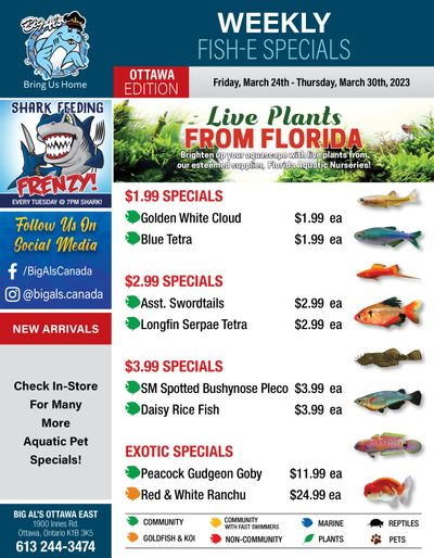 Big Al's (Ottawa East) Weekly Specials March 24 to 30 Big Al's (Ottawa East) Weekly Specials March 24 to 30