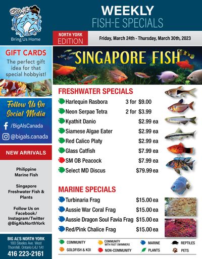 Big Al's (North York) Weekly Specials March 24 to 30