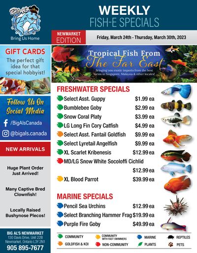 Big Al's (Newmarket) Weekly Specials March 24 to 30