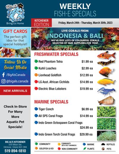 Big Al's (Kitchener) Weekly Specials March 24 to 30