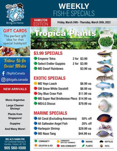 Big Al's (Hamilton) Weekly Specials March 24 to 30