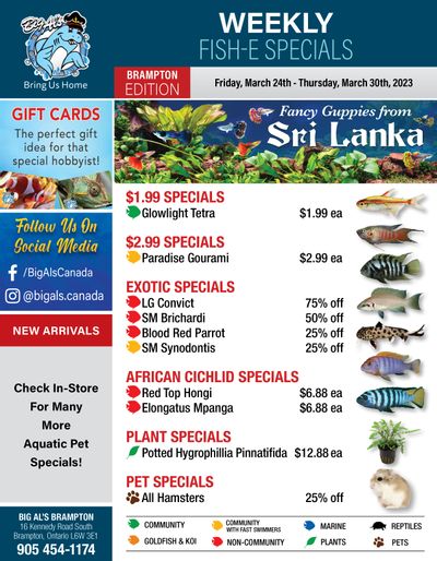 Big Al's (Brampton) Weekly Specials March 24 to 30