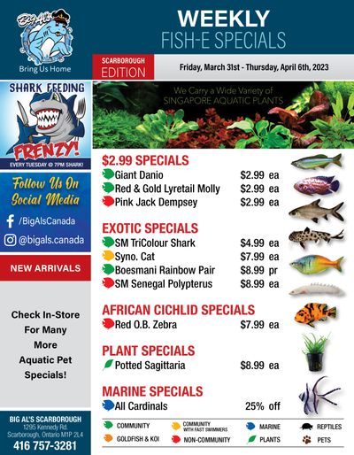 Big Al's (Scarborough) Weekly Specials March 31 to April 6