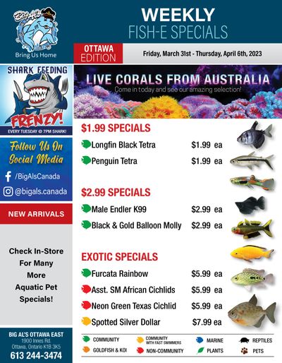 Big Al's (Ottawa East) Weekly Specials March 31 to April 6