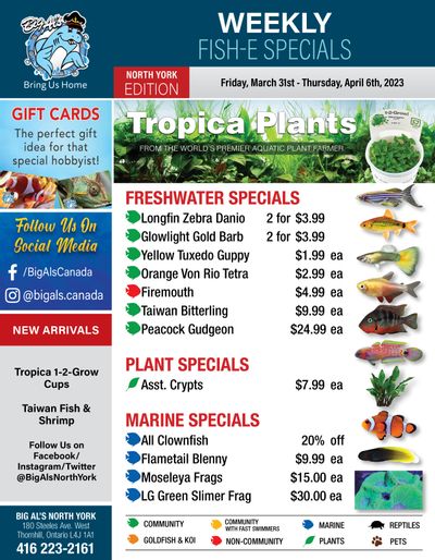 Big Al's (North York) Weekly Specials March 31 to April 6