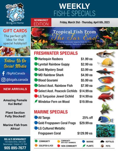 Big Al's (Newmarket) Weekly Specials March 31 to April 6 Big Al's (Newmarket) Weekly Specials March 31 to April 6