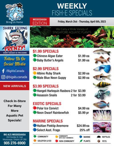 Big Al's (Mississauga) Weekly Specials March 31 to April 6
