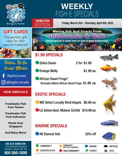 Big Al's (Hamilton) Weekly Specials March 31 to April 6