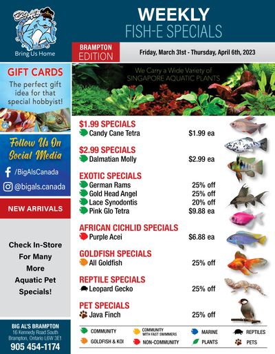 Big Al's (Brampton) Weekly Specials March 31 to April 6
