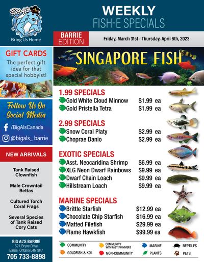 Big Al's (Barrie) Weekly Specials March 31 to April 6
