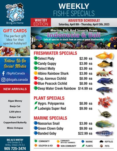 Big Al's (Whitby) Weekly Specials April 8 to 13