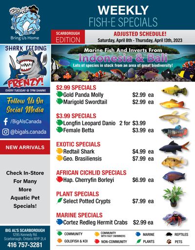 Big Al's (Scarborough) Weekly Specials April 8 to 13
