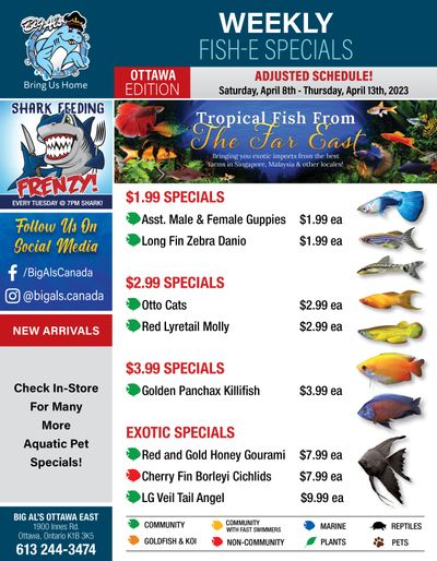 Big Al's (Ottawa East) Weekly Specials April 8 to 13